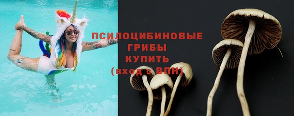 MDMA Premium VHQ Богородицк
