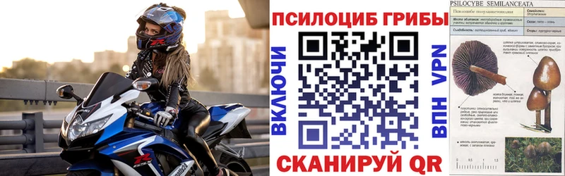 Галлюциногенные грибы Psilocybine cubensis  закладки  Облучье 