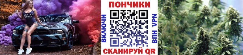 Каннабис ГИДРОПОН купить цена Облучье