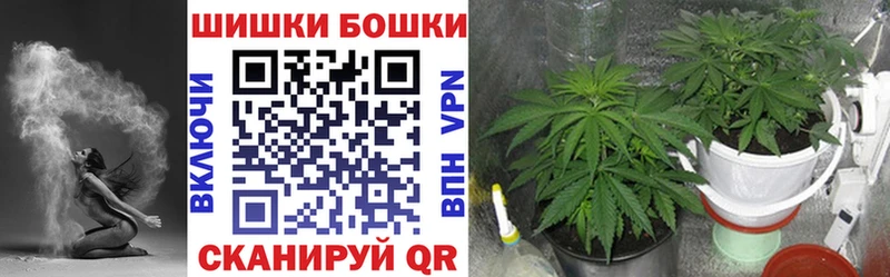 Бошки Шишки MAZAR Облучье